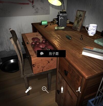 《孙美琪疑案-刘青春》四级线索——孢子蘑