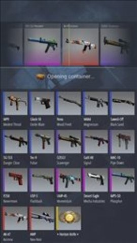 case simulator ultimate